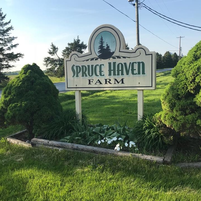 My Hometown